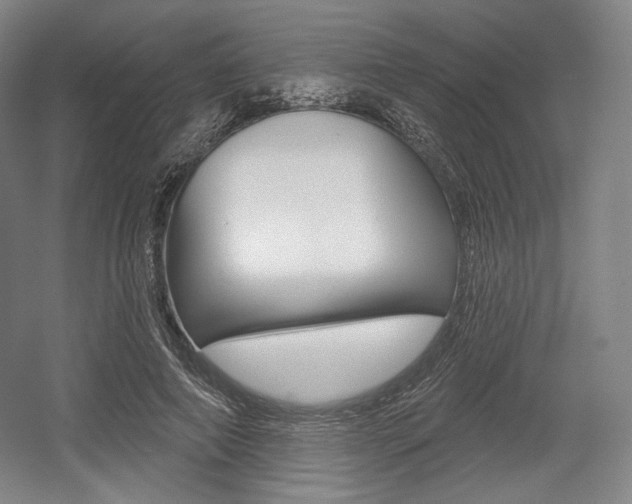 X0000055970690200508190704