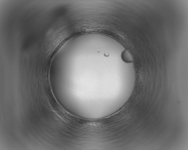 X0000055970691200508190704