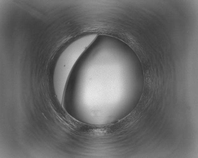 X0000055970692200508190704