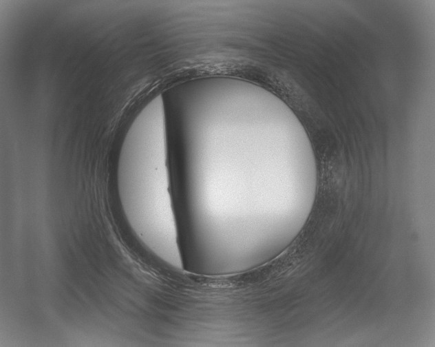 X0000055970694200508190704