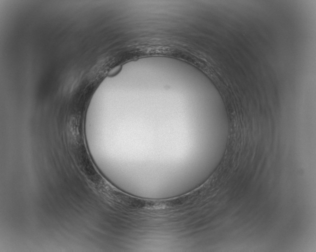 X0000055970695200508190703