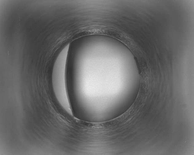 X0000055970696200508190703