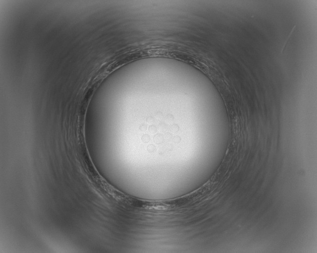 X0000055970698200508190703