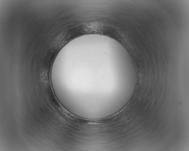 X0000055970699200508190703