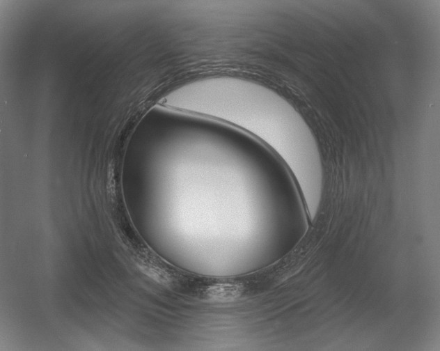 X0000055970700200508190703