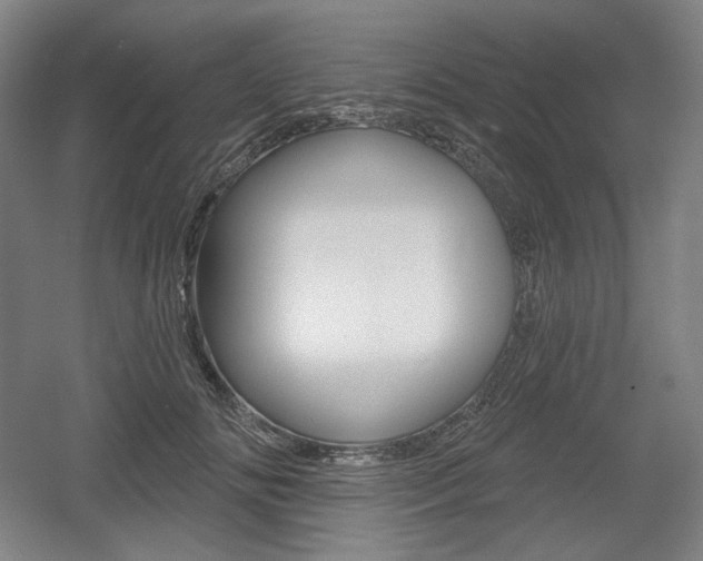 X0000055970702200508190703