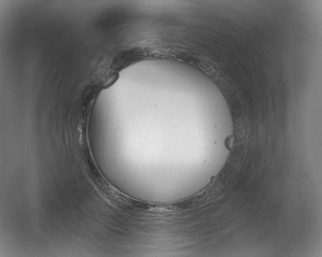 X0000055970703200508190703