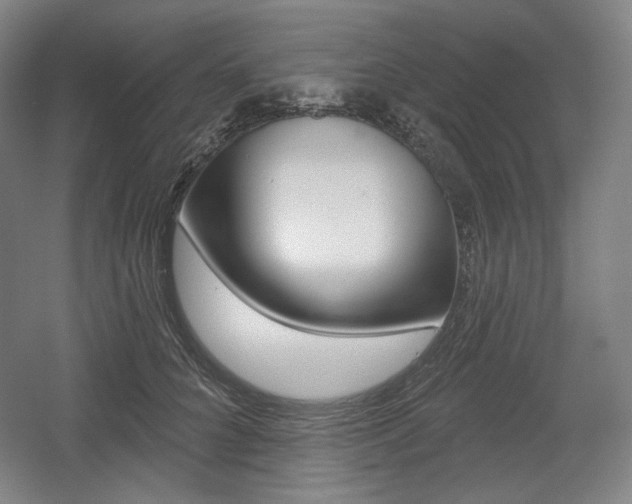 X0000055970704200508190703