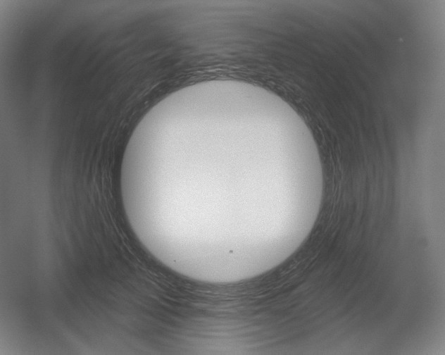 X0000055970705200508190703