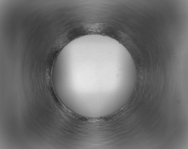 X0000055970707200508190703