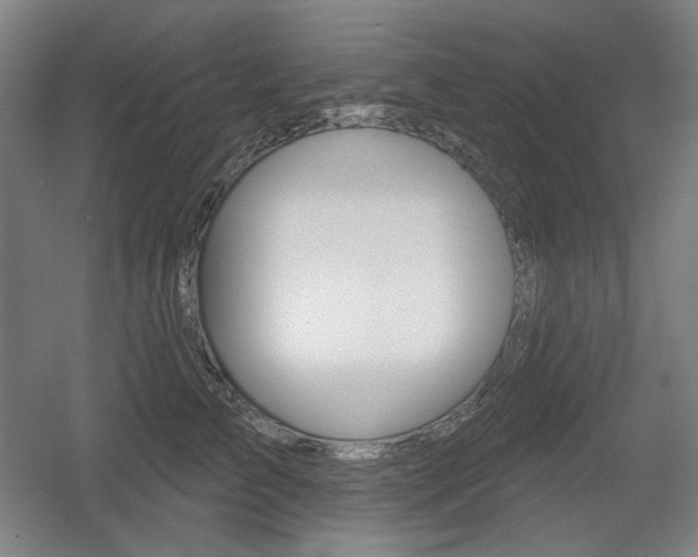 X0000055970709200508190703