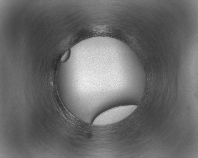 X0000055970710200508190703