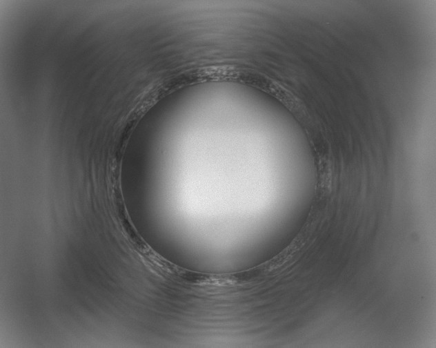 X0000055970712200508190703
