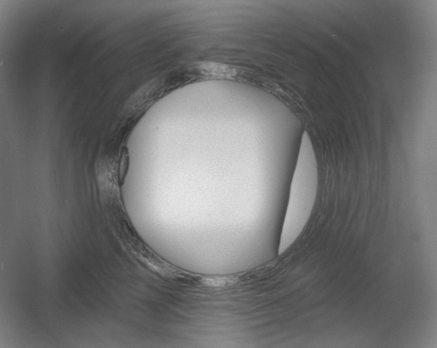 X0000055970713200508190703
