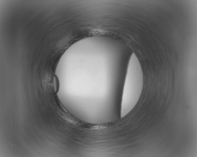X0000055970714200508190703