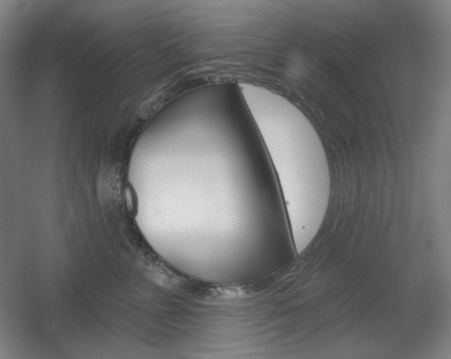 X0000055970715200508190703