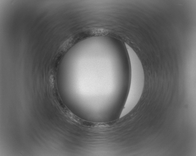 X0000055970716200508190703