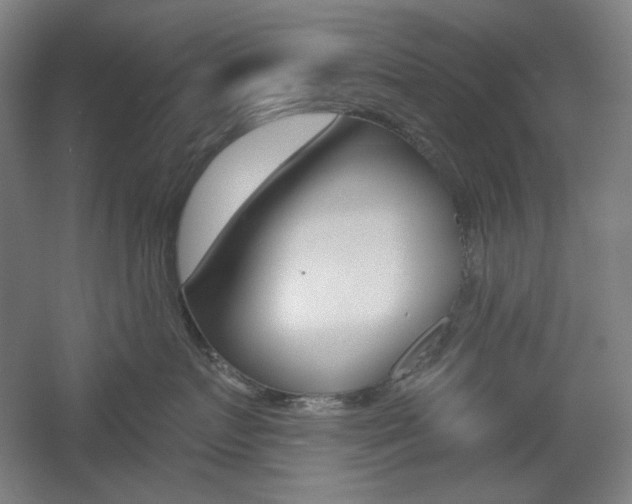 X0000055970719200508190703