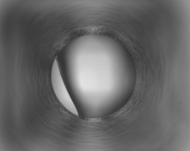 X0000055970720200508190703