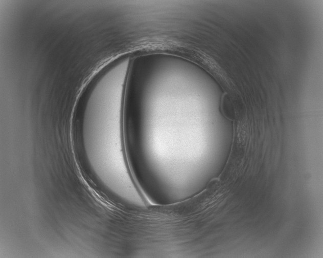 X0000055970722200508190702