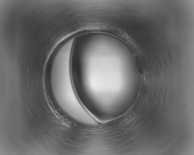 X0000055970724200508190702