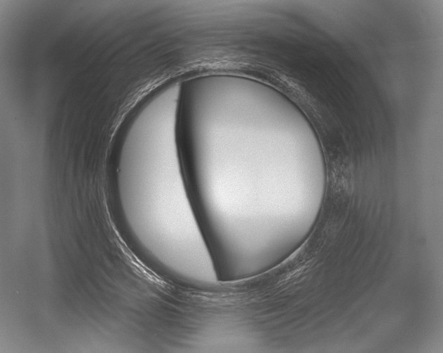 X0000055970725200508190702