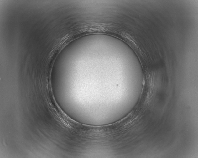 X0000055970729200508190702