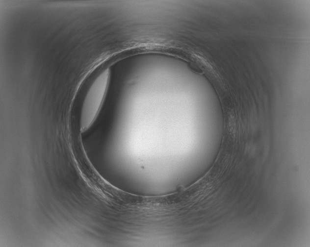 X0000055970730200508190702
