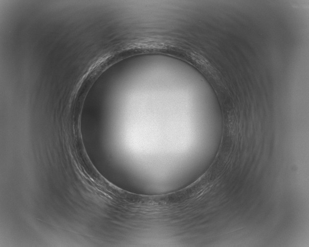 X0000055970731200508190702