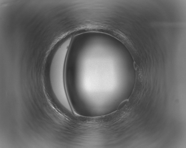 X0000055970732200508190702
