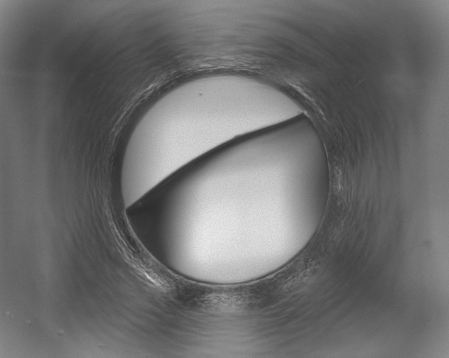 X0000055970733200508190702