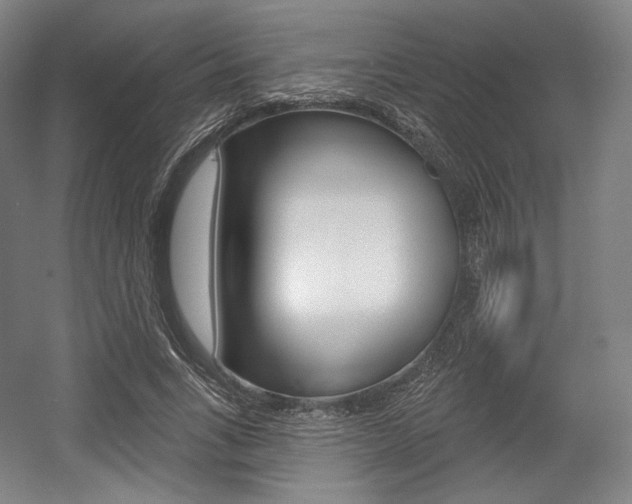 X0000055970735200508190702