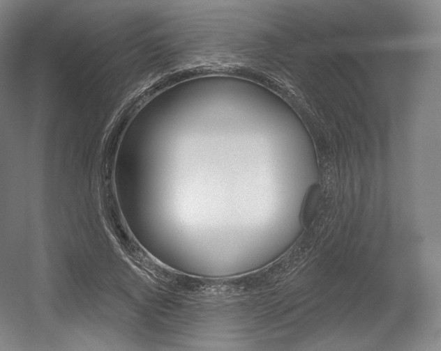 X0000055970736200508190703