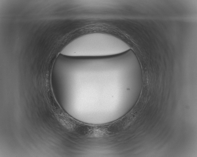 X0000055970737200508190703