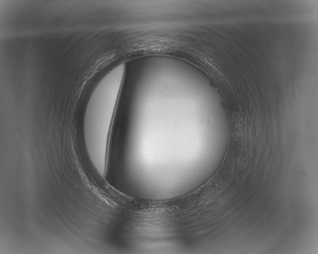 X0000055970738200508190703