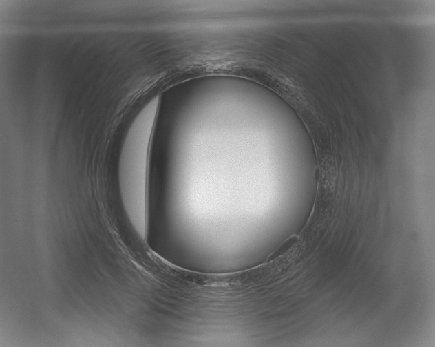 X0000055970740200508190703