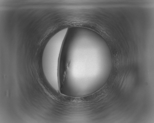 X0000055970742200508190703