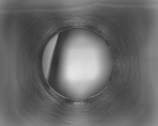 X0000055970744200508190703