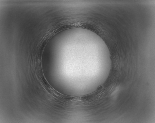 X0000055970747200508190703