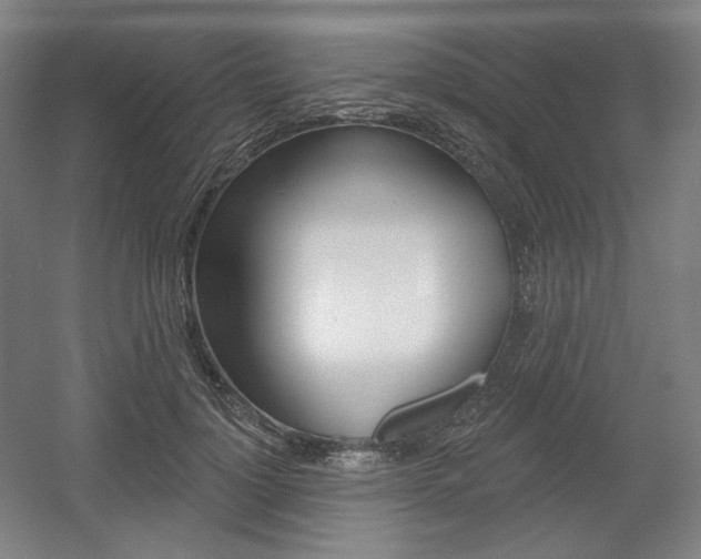 X0000055970748200508190703