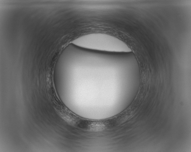 X0000055970749200508190703