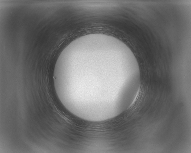 X0000055970750200508190703