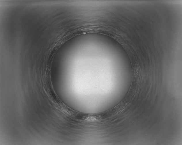 X0000055970751200508190703