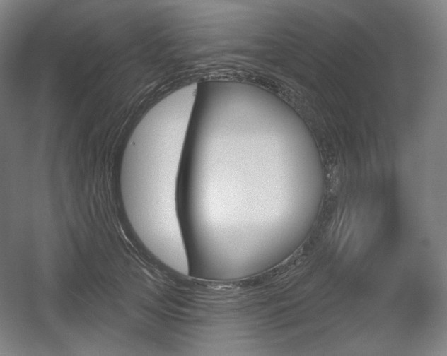 X0000055970753200508190703