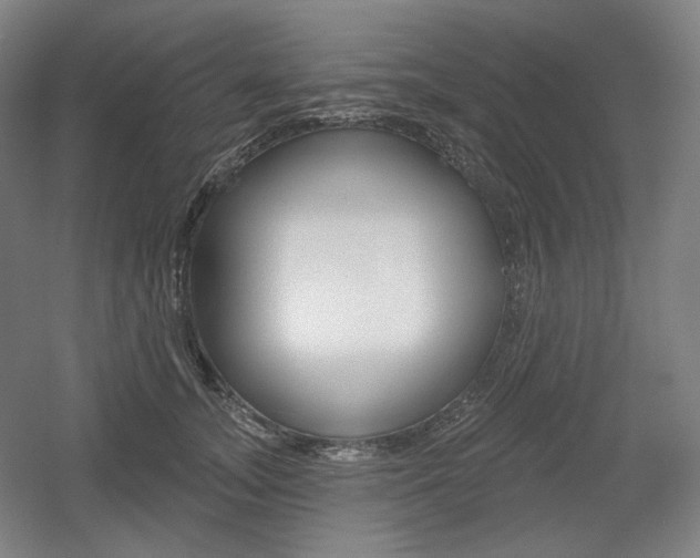 X0000055970755200508190703