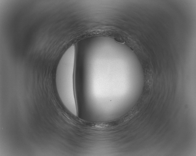 X0000055970758200508190703