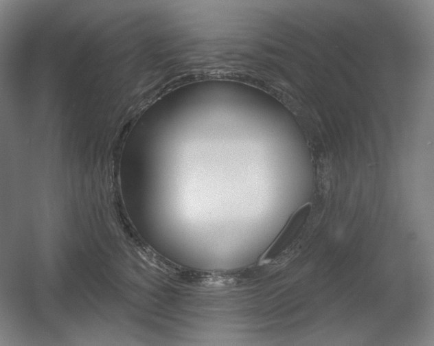 X0000055970760200508190703
