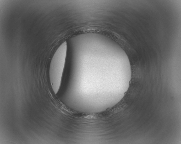 X0000055970761200508190703