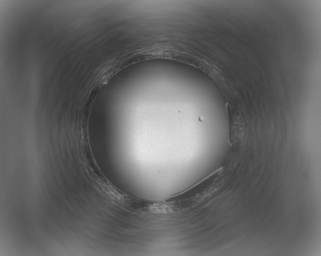 X0000055970762200508190703