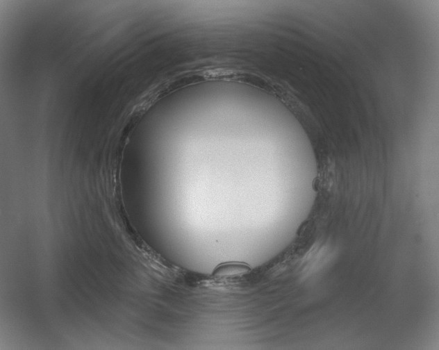 X0000055970763200508190703